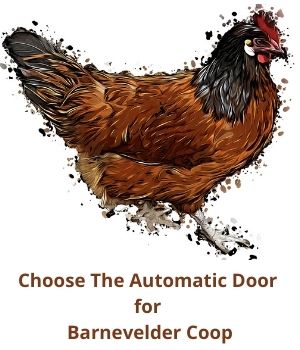 Best automatic chicken door